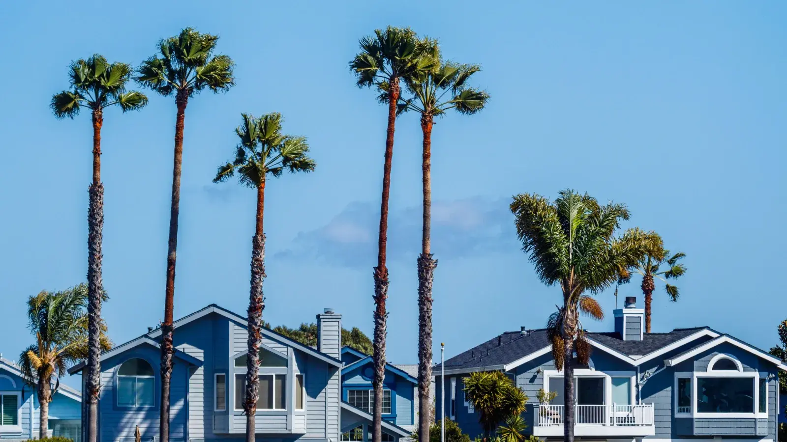 Florida neighborhood with palm trees, representative of Mims, FL's rural North Brevard setting